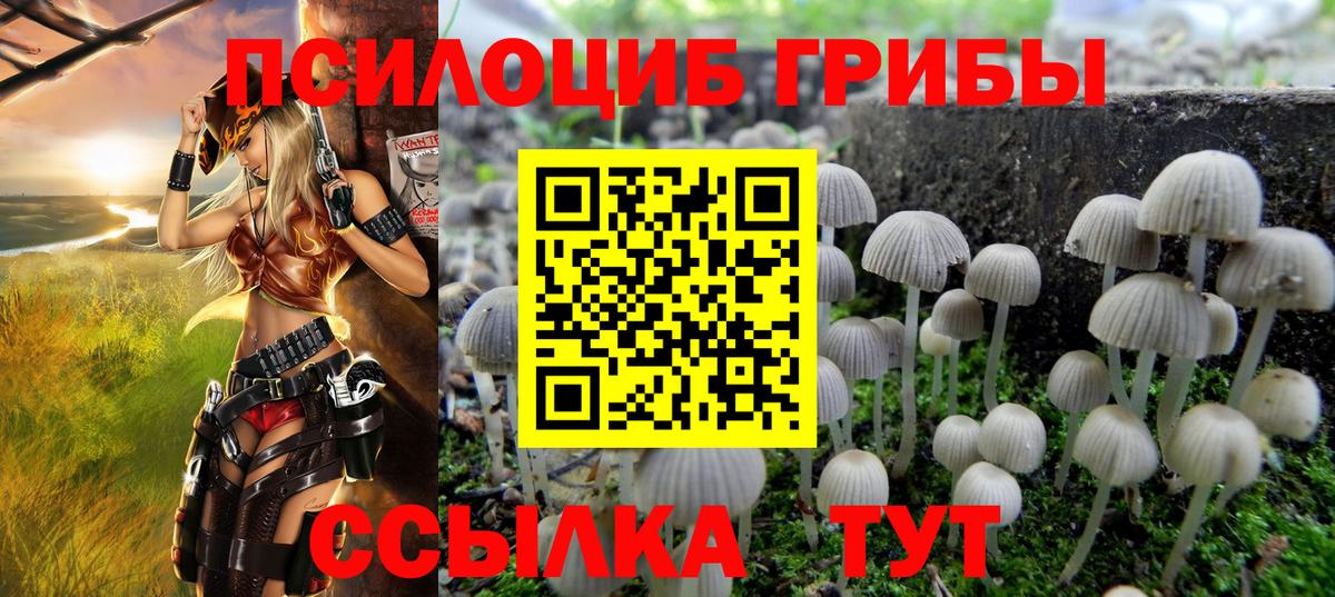 Галлюциногенные грибы мухоморы Пыть-Ях