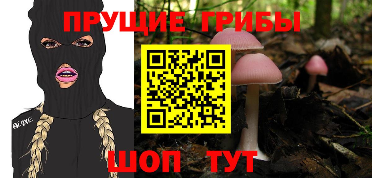 Пыть-Ях  Псилоцибиновые грибы прущие грибы  Псилоцибиновые грибы мухоморы  Вход с VPN 